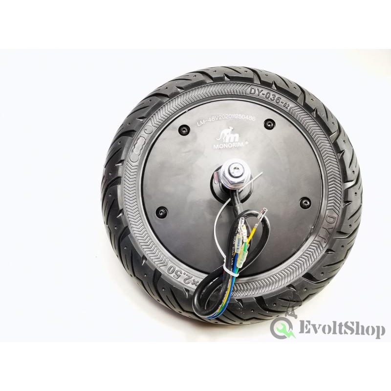 48v 500w high torque motor for Ninebot max G30, D, PRO-N9x-2-EvoltShop