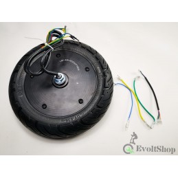 48V 500W IP65 High Torque Motor FOR XIAOMI M365, 1S, PRO2 AND M365 PRO-N9-2-EvoltShop